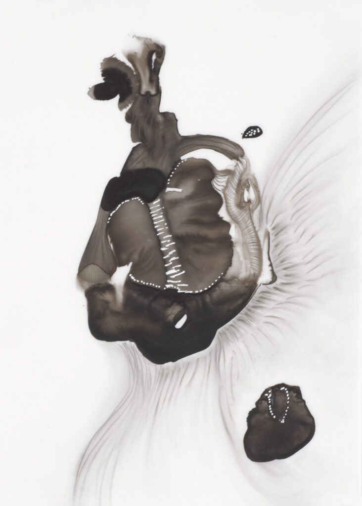 Possibilities Incarnate